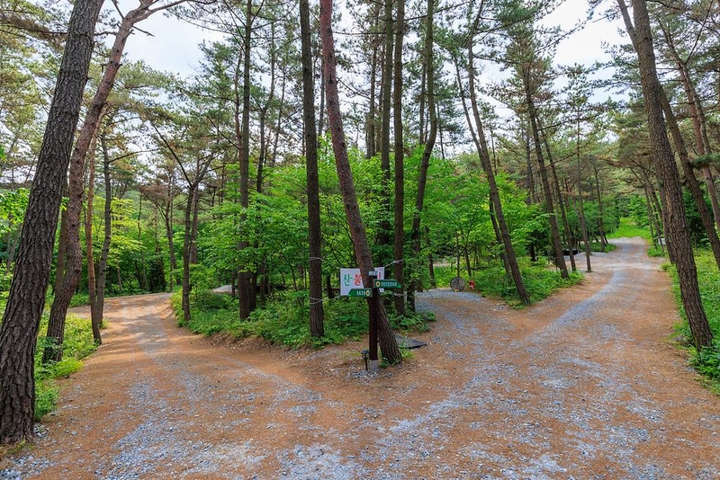 우니메이카 태안점 시설 사진 2