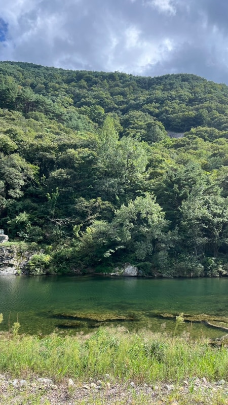 캠핑투어:) 밀양, 알프스캠핑장