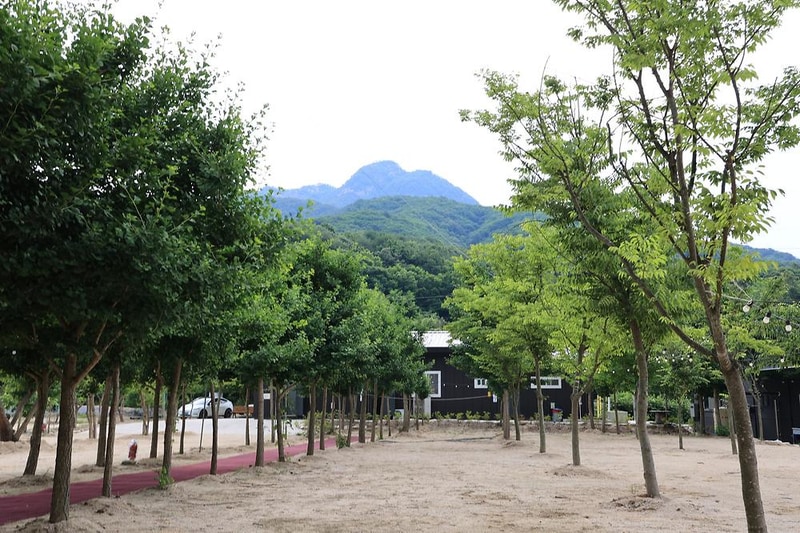 도마치 자연그대로 캠핑장 시설 사진 10