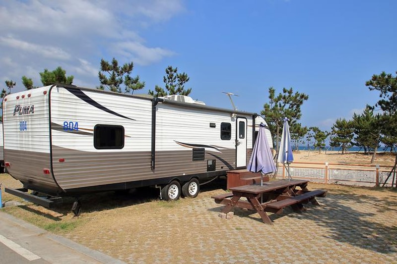 망상오토캠핑리조트 제2오토캠핑장 대표 사진