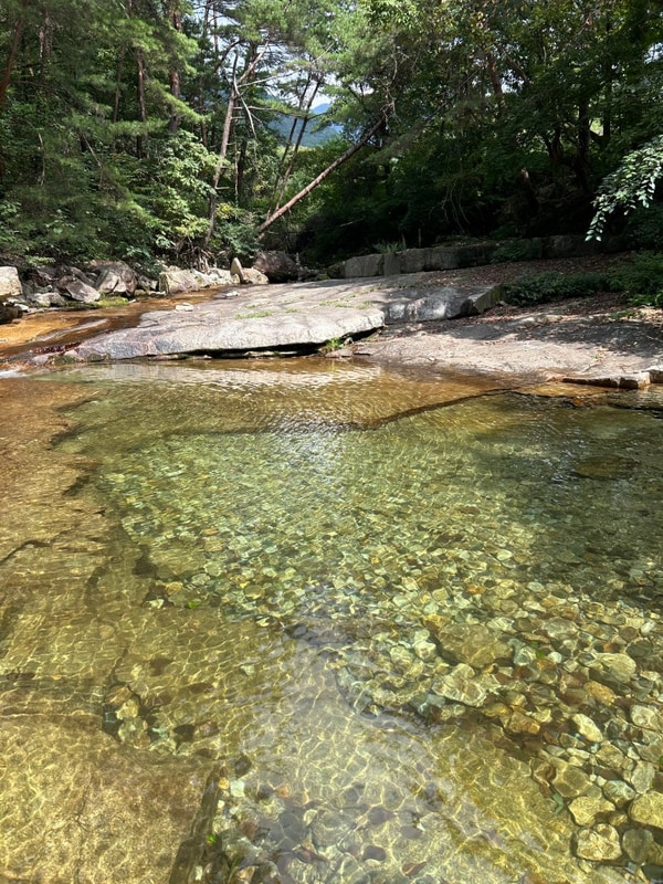 [캠핑기록12] 강원도 영월 산골캠핑장
