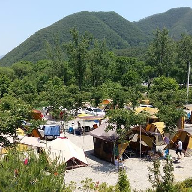 보보스캇 캠핑장