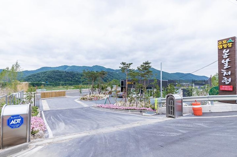 봄날처럼 대표 사진