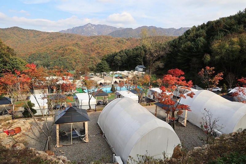 스토리숲(story숲) 시설 사진 13