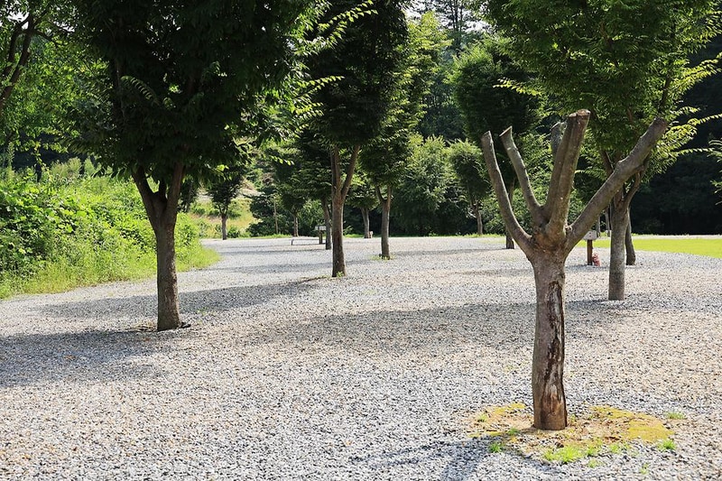 캠프 올모 시설 사진 4