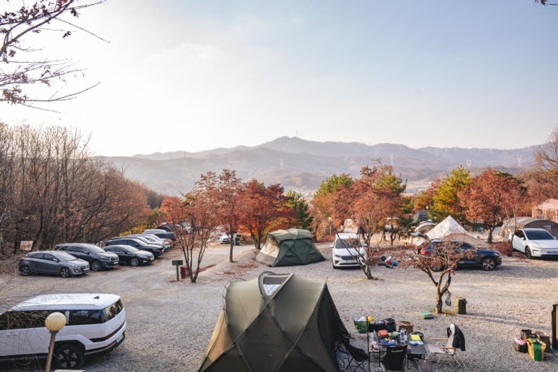 캠핑일기 #65. 용인 단풍숲 캠핑장