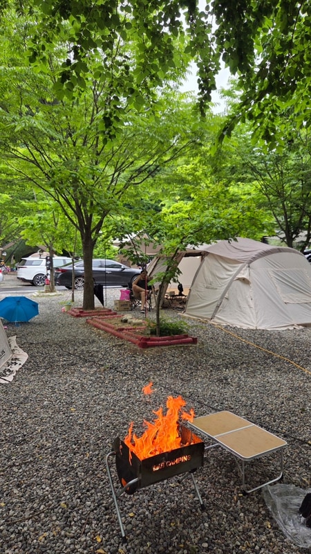 [제천 별수하캠핑장] 벌써 세번째 별수하, 별수하캠핑장...