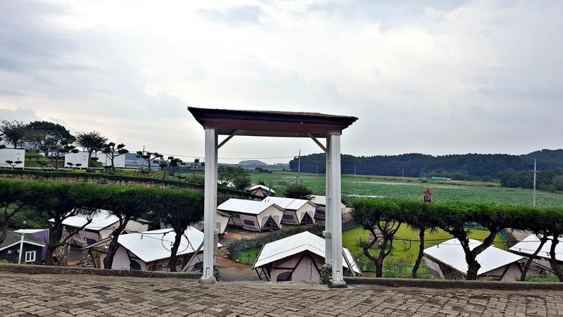 태안 안면도 비비애견동반캠핑장 시설 사진 11