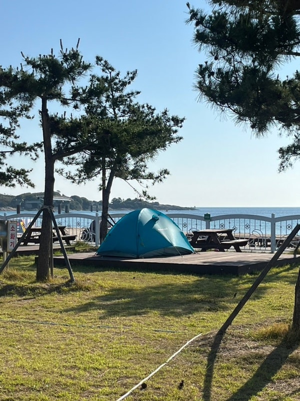 고성 오호캠핑장 후기