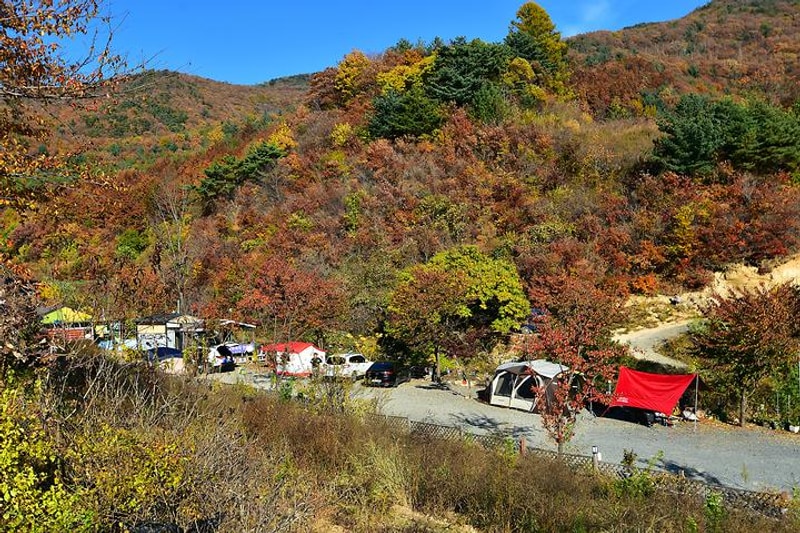 천문대 별빛정원 대표 사진