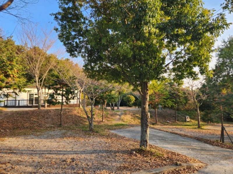 통영오토캠핑장_미르카오스틴 DS20