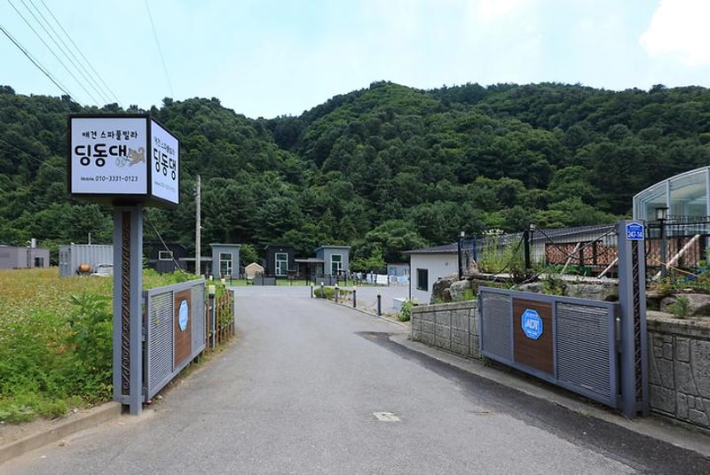 딩동댕캠핑장 대표 사진