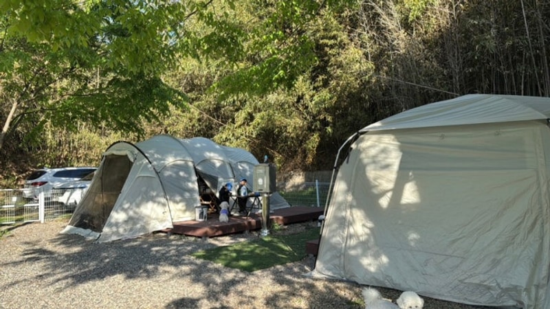 청도 원더랜드 애견캠핑장 재방문 더블데크 2박3일 이용후기