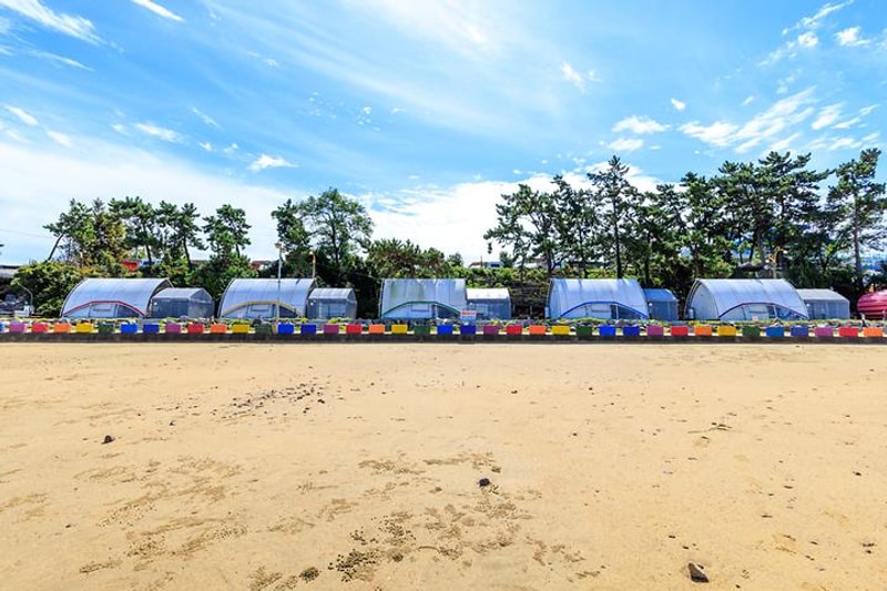 돌머리 해변 글램핑 야영장 대표 사진