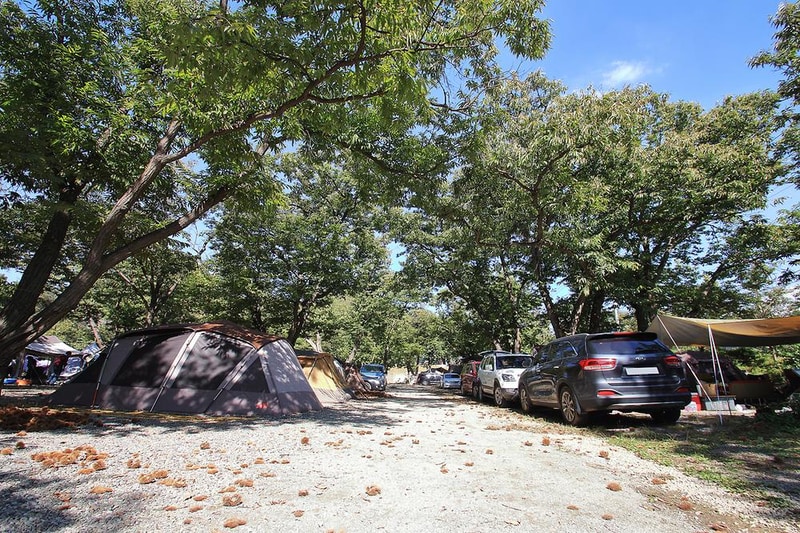 초평밤나무 시설 사진 7