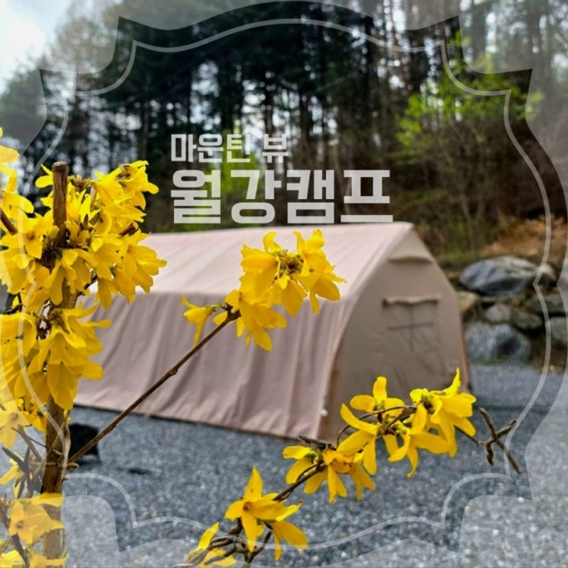 횡성] 개별화장실에 운무까지 볼 수 있는 마운틴뷰 월강캠프...