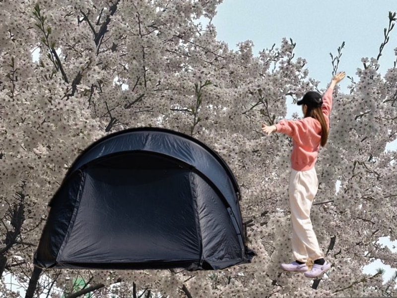 경기도 벚꽃 캠핑 명소 용인 반딧불캠핑장 4월 첫 주 후기(4...