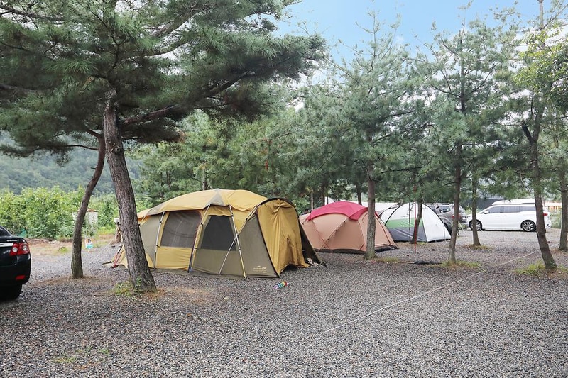 청도 지오오토캠핑장 시설 사진 11