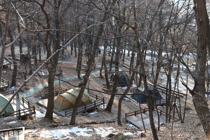 용인자연휴양림 야영장