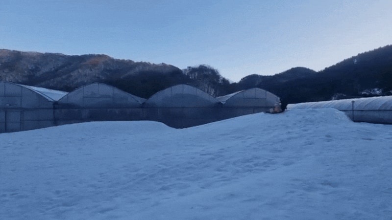 양평여행_ 서울근교 놀거리 가득한 글램핑(에코이글루 글램핑)