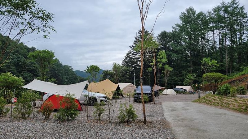 우니메이카 춘천점 대표 사진