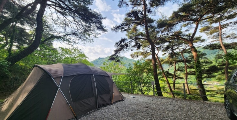 구례 섬지캠핑장 소나무동