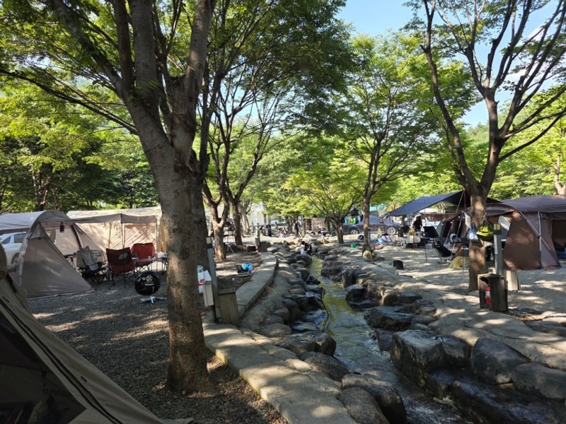 도둑골 캠핑장 2박 , 도둑골 16 사이트 후기