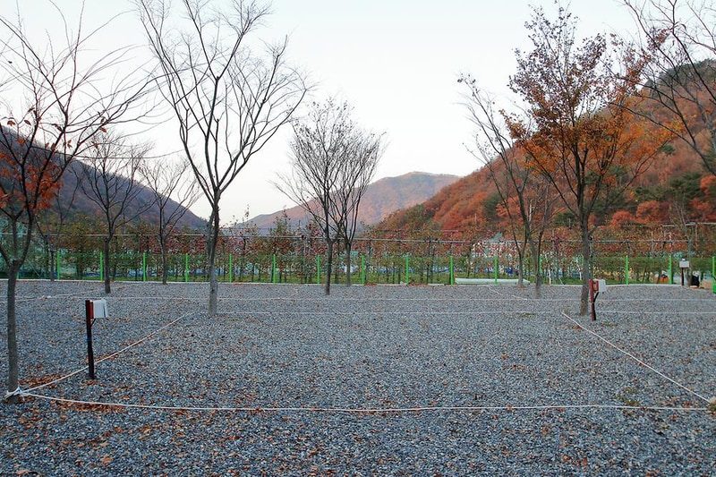 용천토리 오토캠핑장 시설 사진 2