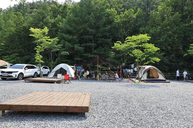 펫힐링 달빛동물원 캠핑장 시설 사진 1