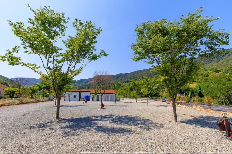 엠와이힐링캠핑장 시설 사진 3