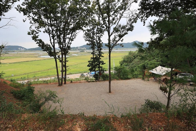 탄도호캠핑장 시설 사진 5