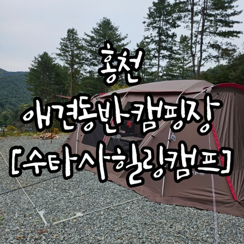 홍천 애견동반캠핑장[수타사힐링캠프] 사이트정보