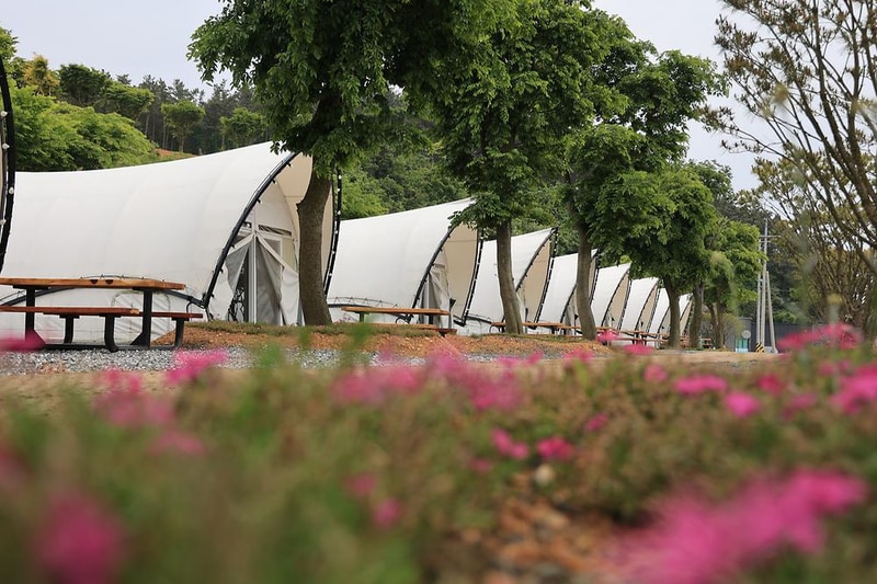 오즈캠핑 시설 사진 1