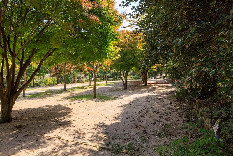 심천치유자연휴양림야영장 시설 사진 21