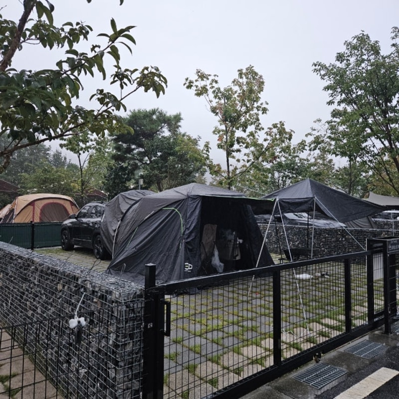 가평 아워포레스트 캠핑장에서 애견동반 차박 우중캠핑