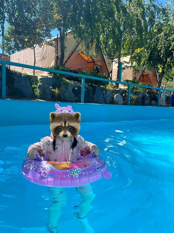 충주 큰집 글램핑