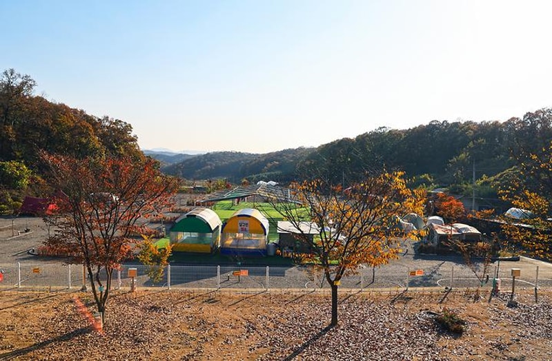 달그린캠프 대표 사진