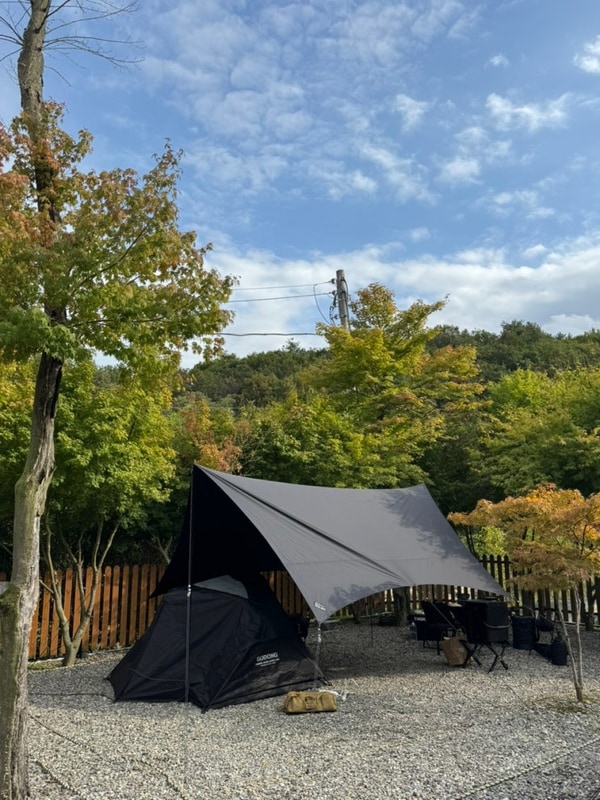 [성남/캠핑장]청계산밸리가족캠핑장 후기|단풍나무존|명당...