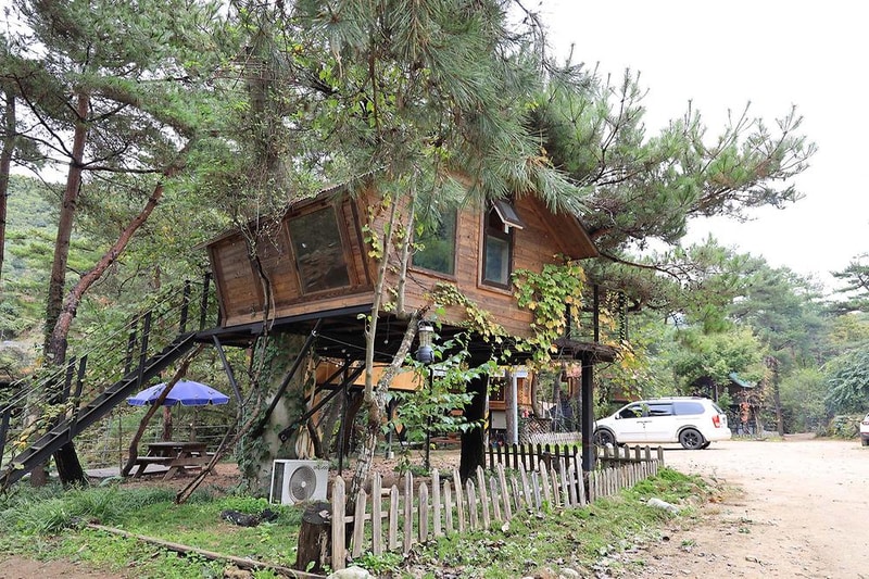 트리하우스계곡야영장 시설 사진 11