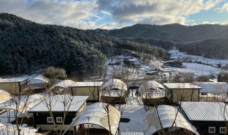 포천 캠핑장 금동휴양림캠프2 명당 폴라리스 레오 내돈내산
