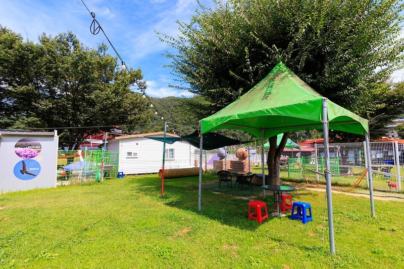 젠틀펫 파라다이스 시설 사진 9