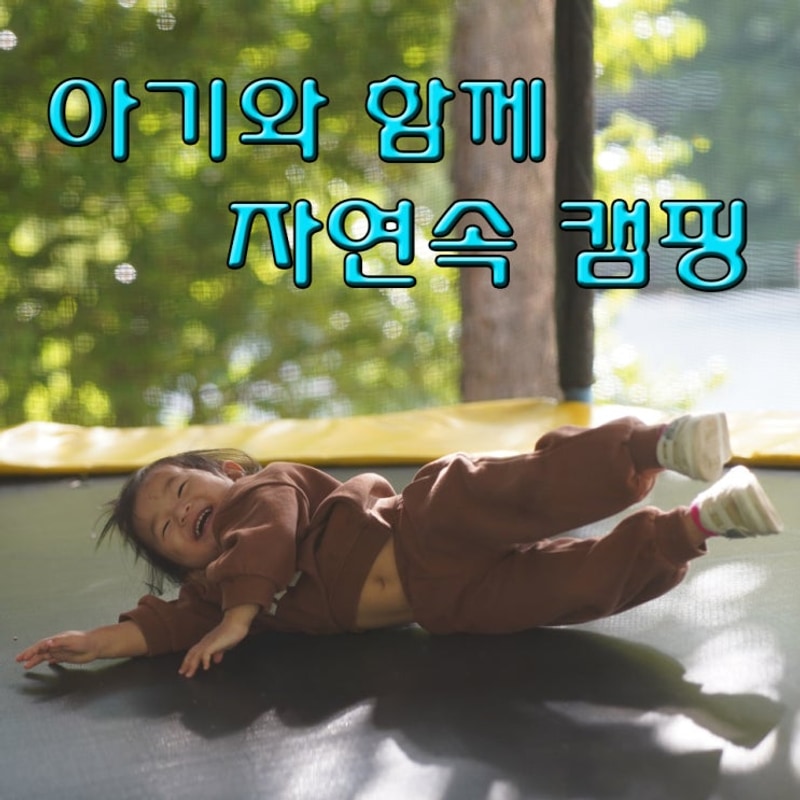 문경리우캠핑장 순한동물친구 만났어요