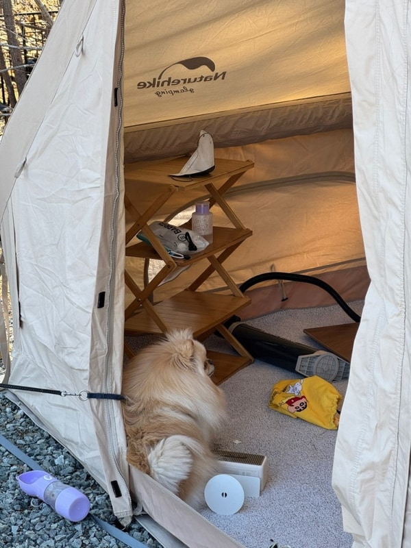 다섯번째 캠핑) 수타사 힐링캠프 명당자리 C존 후기