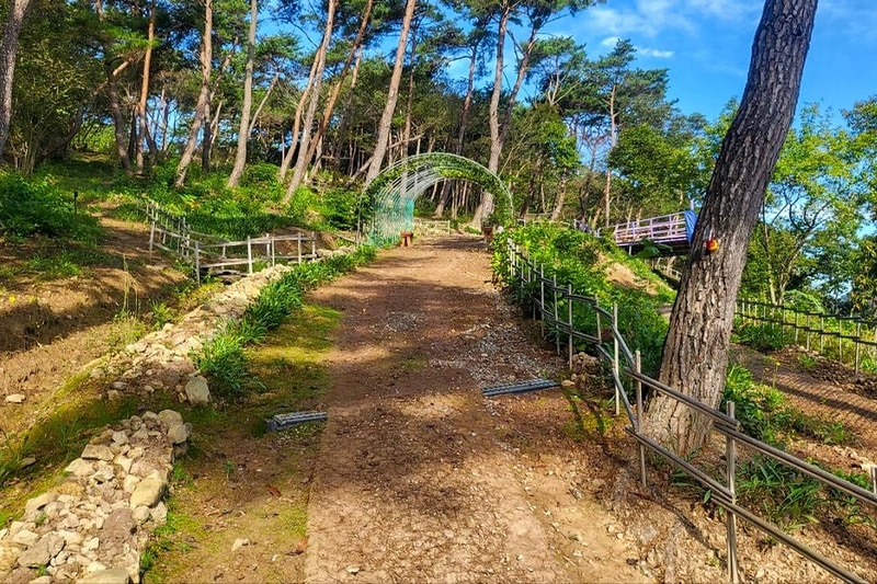 화순정원글램핑관광농원 시설 사진 6