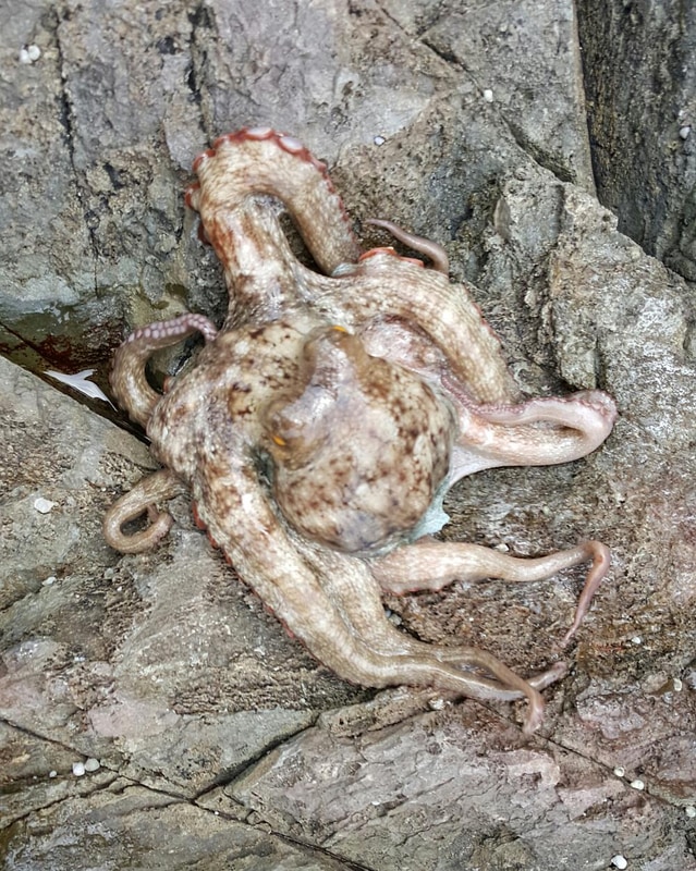 (주)청보리 시설 사진 5