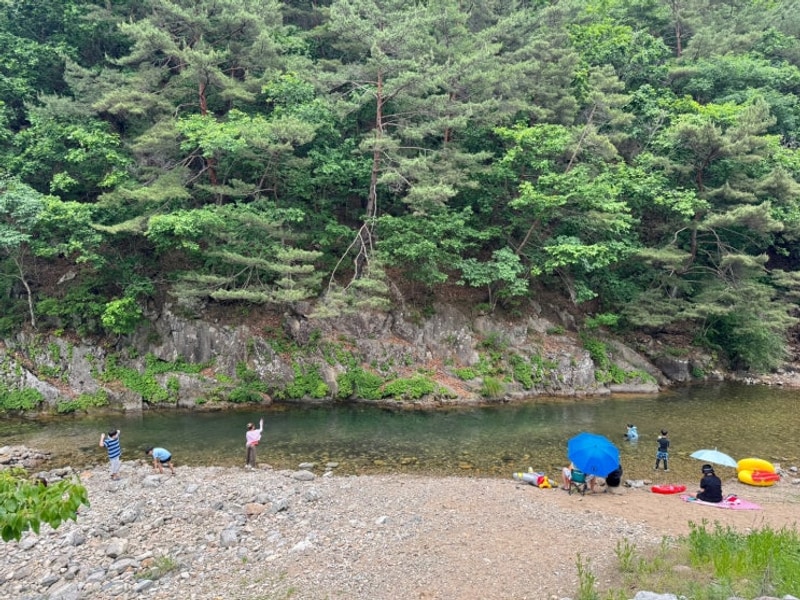 어른들도 놀기 좋은 계곡 캠핑장 (feat. 홍천 용오름캠핑장)