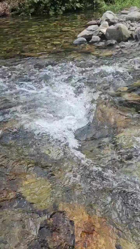 흥정계곡오토캠핑장, 강원도 평창, 평창캠핑장, 차박캠핑, 차박