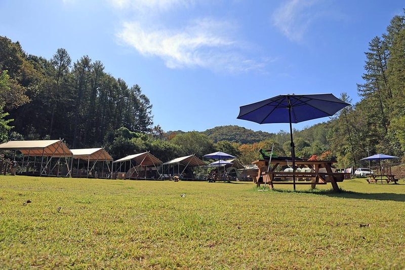 캠핑중DOG 시설 사진 5