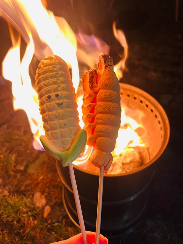 경남 고성 상족암오토캠핑장 아이랑 가을단풍캠 명당자리