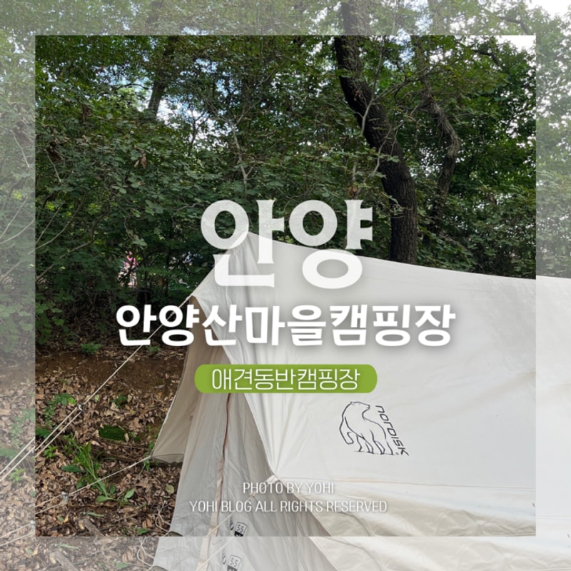 서울근교캠핑장 애견동반 안양산마을캠핑장 B12 내돈내산 후기